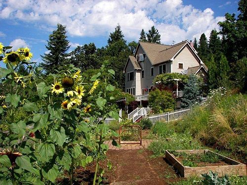 Husum Highlands Bed And Breakfast Ngoại thất bức ảnh